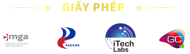 giấy phép hoạt động Typhu88 hợp pháp uy tín và minh bạch