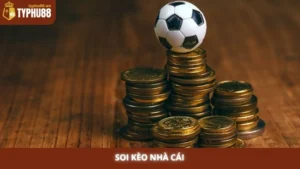 Soi kèo nhà cái Typhu88