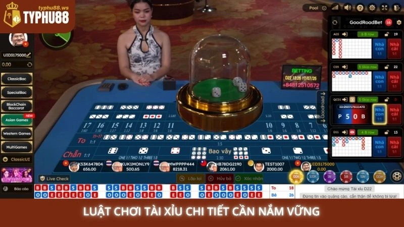 Tài Xỉu online Typhu88 | Mẹo chơi Sicbo dễ thắng nhất 1 Luật chơi Tài Xỉu chi tiết cần nắm vững